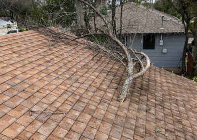 Dallas tile roof home with branch from storm
